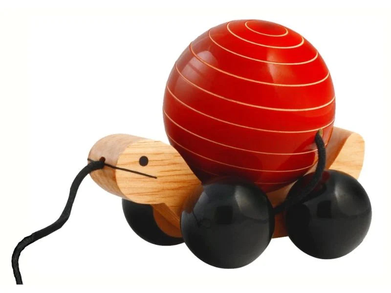 Tuttu Turtle Push and Pull Wooden toy